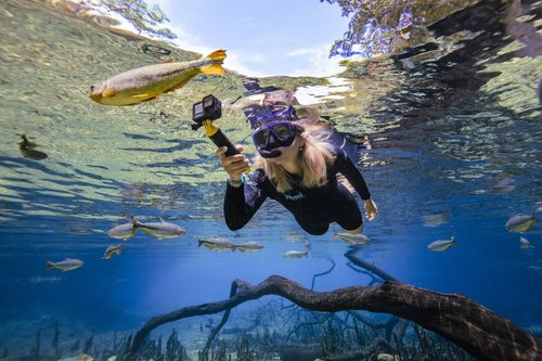 Snorkeling - Estancia Ecologico Rio da Prata